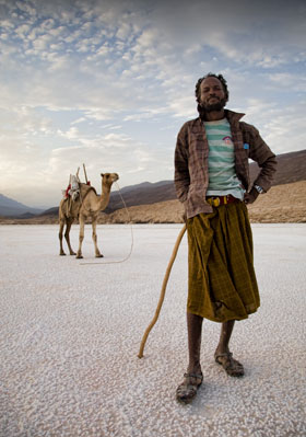afar nomad