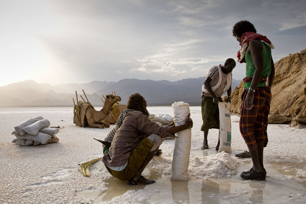 Afar Nomads