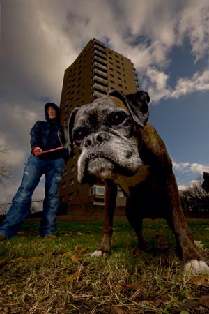 Scatdog