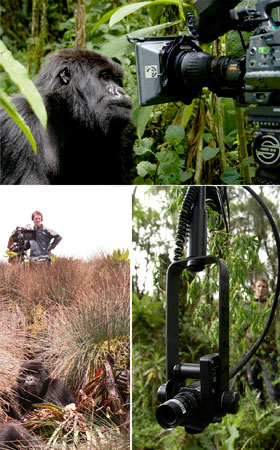 wildlife documentary
